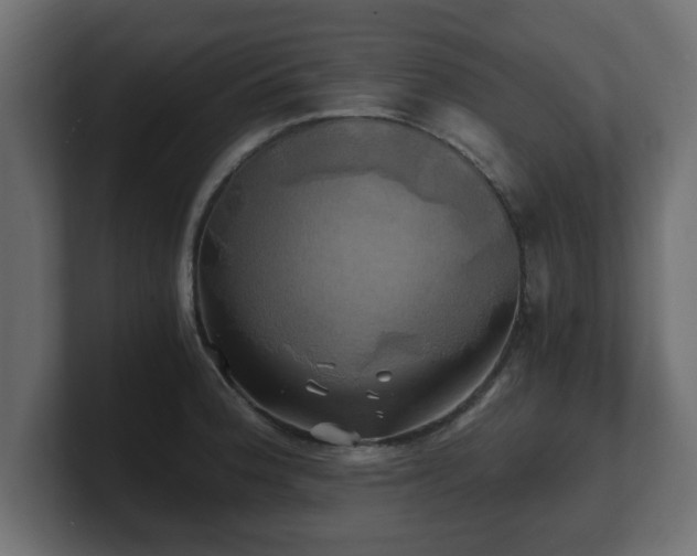 X0000100761188200806261558