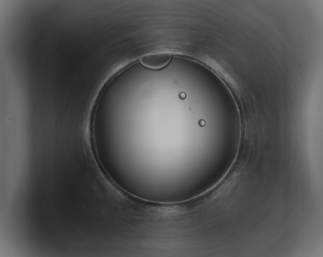 X0000100761189200806261558