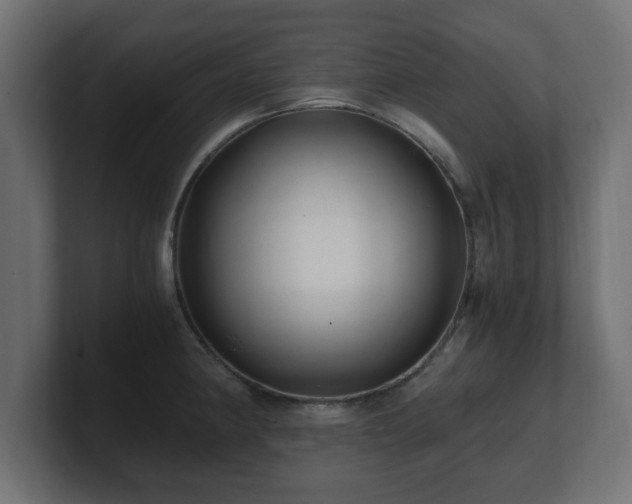 X0000100761190200806261558