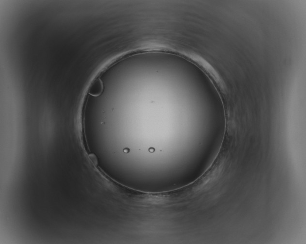 X0000100761191200806261558