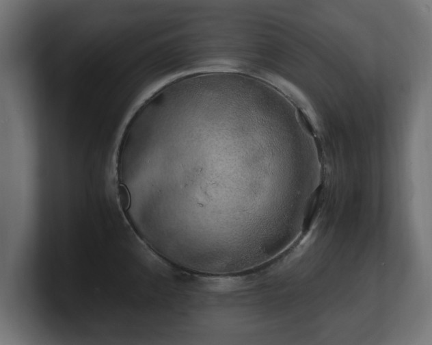 X0000100761192200806261558