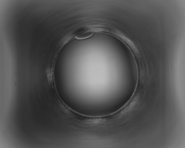 X0000100761193200806261558