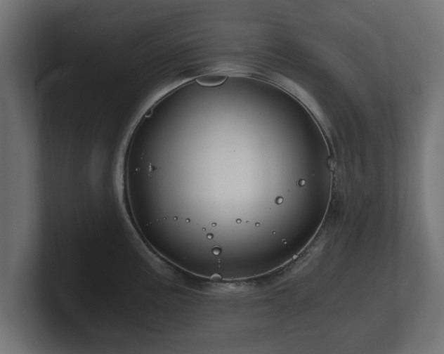 X0000100761195200806261558