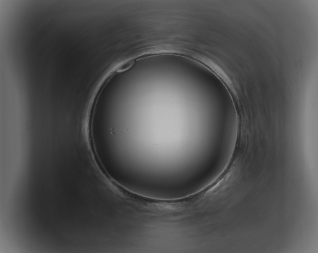 X0000100761197200806261558