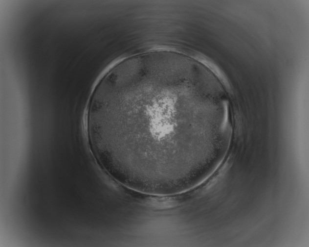 X0000100761198200806261558