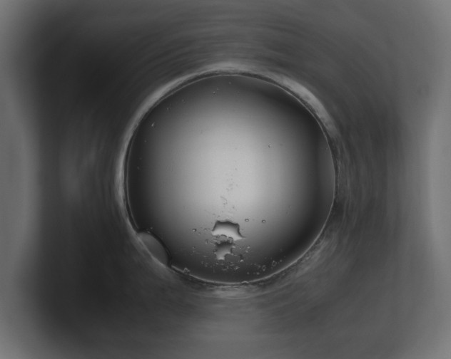 X0000100761199200806261558