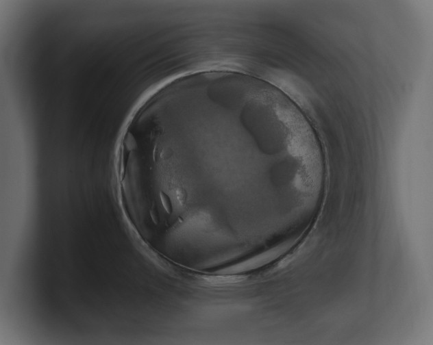 X0000100761200200806261558