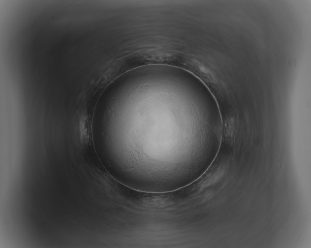 X0000100761202200806261557