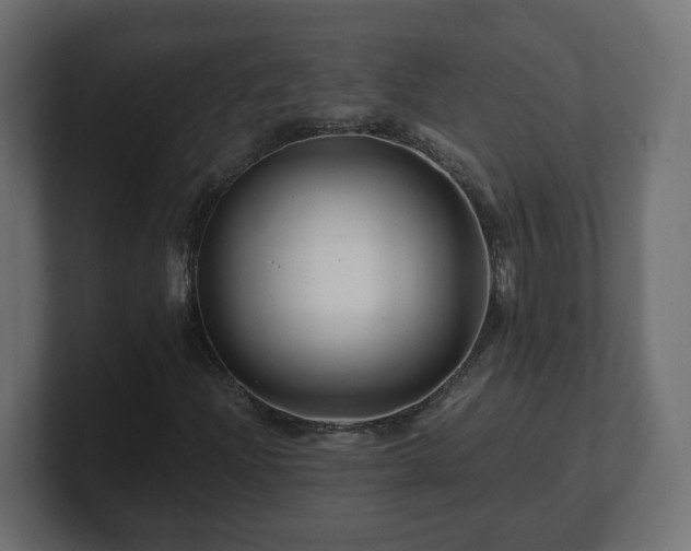 X0000100761204200806261557