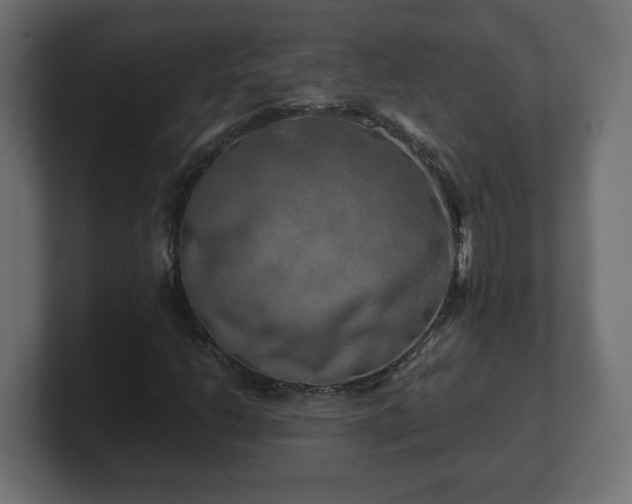 X0000100761206200806261557