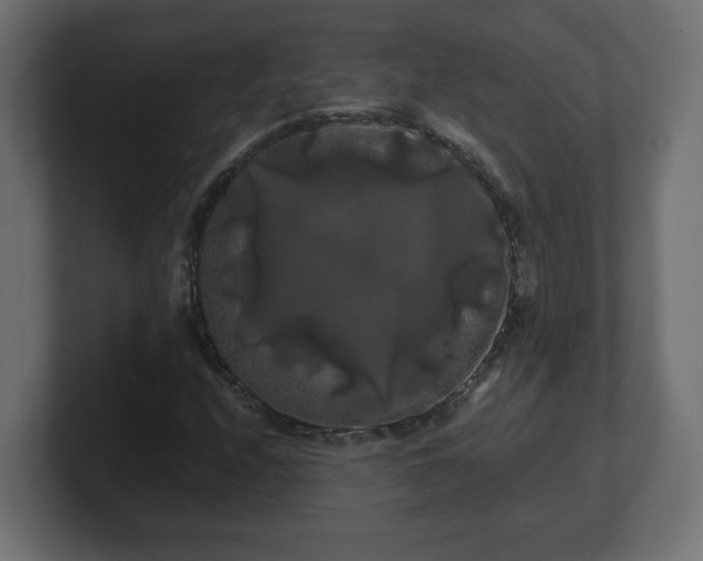 X0000100761208200806261557