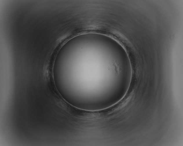 X0000100761210200806261557