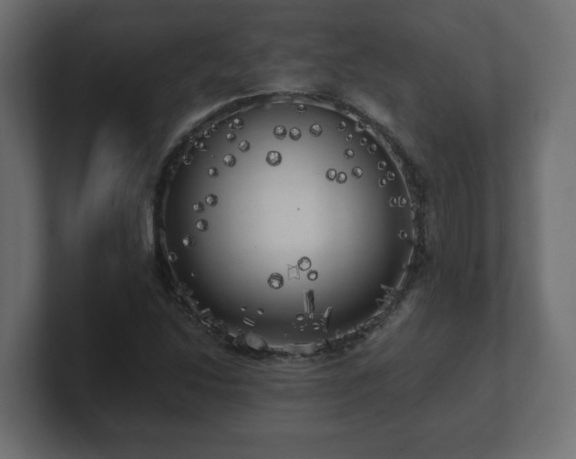 X0000100761214200806261557