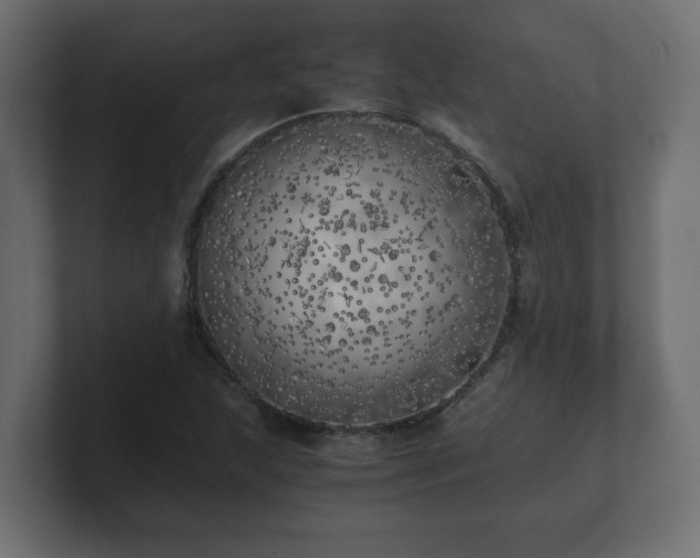 X0000100761215200806261557