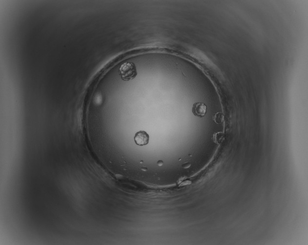 X0000100761216200806261557