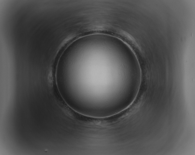 X0000100761218200806261557