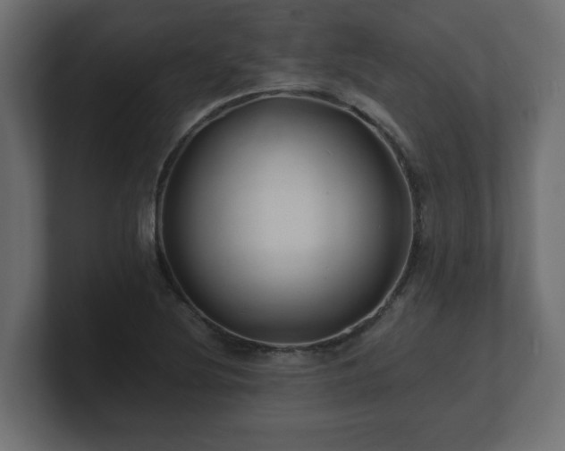 X0000100761220200806261557