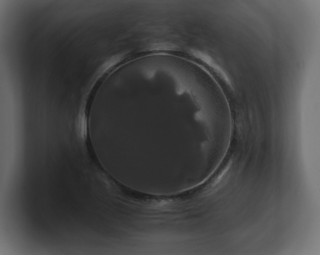 X0000100761221200806261557