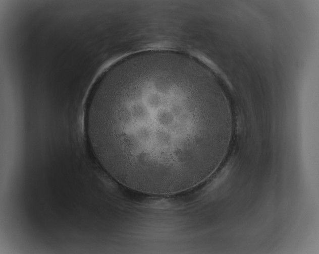 X0000100761222200806261557