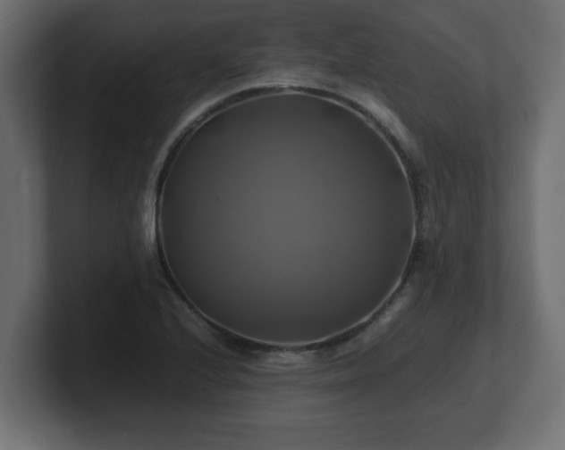 X0000100761224200806261558