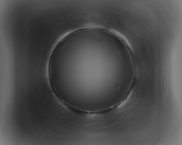 X0000100761231200806261558