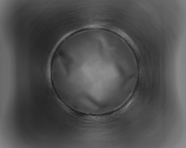 X0000100761232200806261558