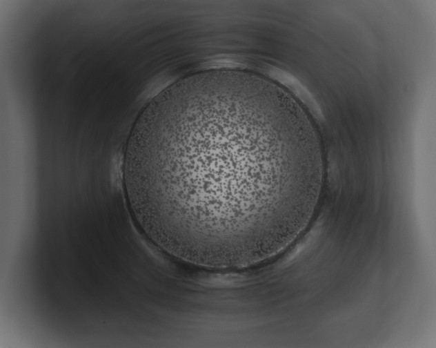 X0000100761233200806261558