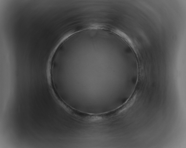 X0000100761235200806261558