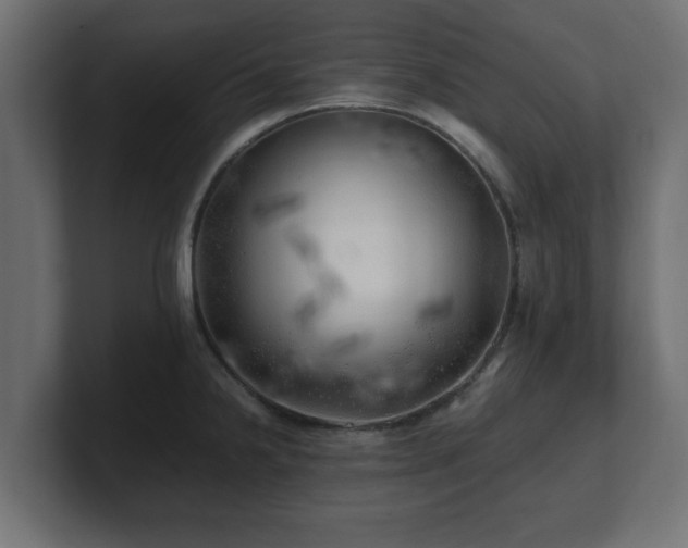 X0000100761238200806261558