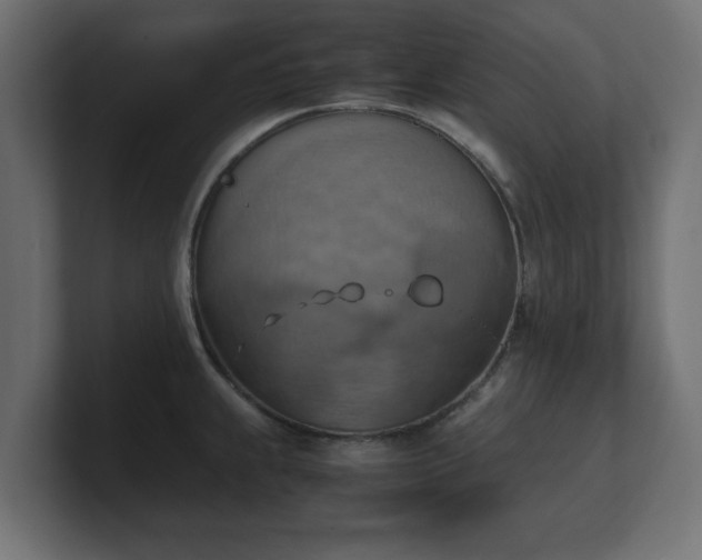 X0000100761239200806261558