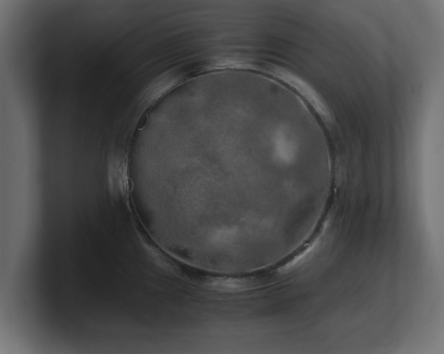 X0000100761241200806261558