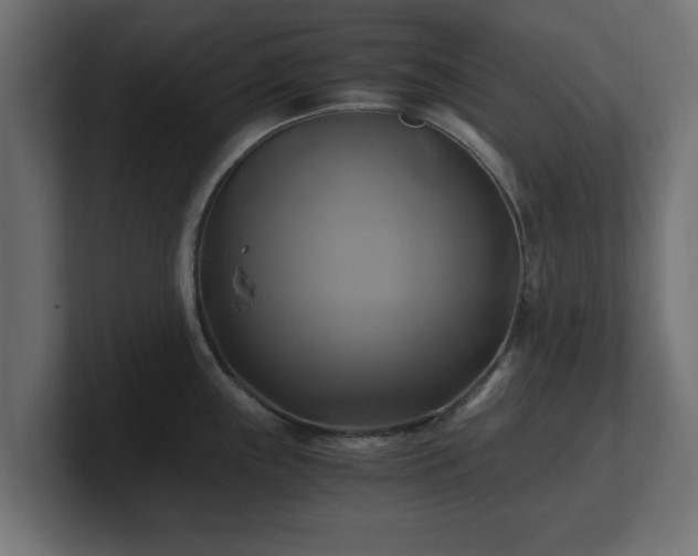 X0000100761243200806261558