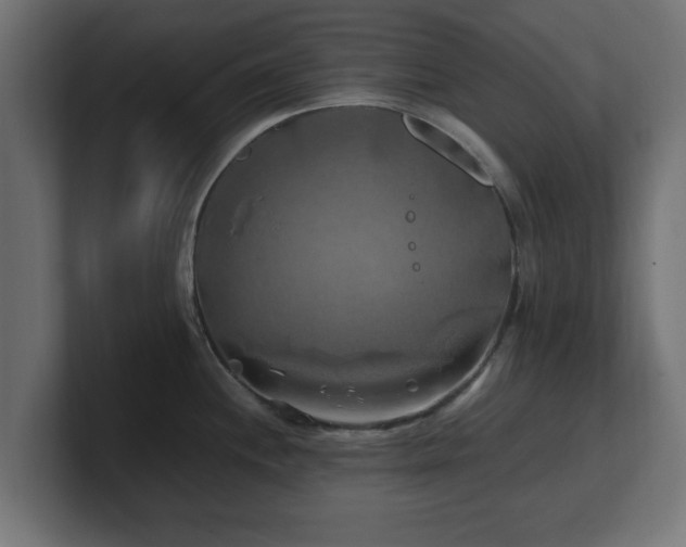 X0000100761244200806261558