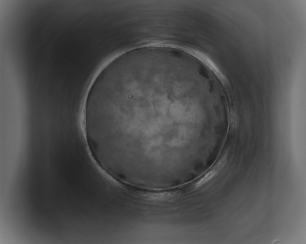 X0000100761247200806261558