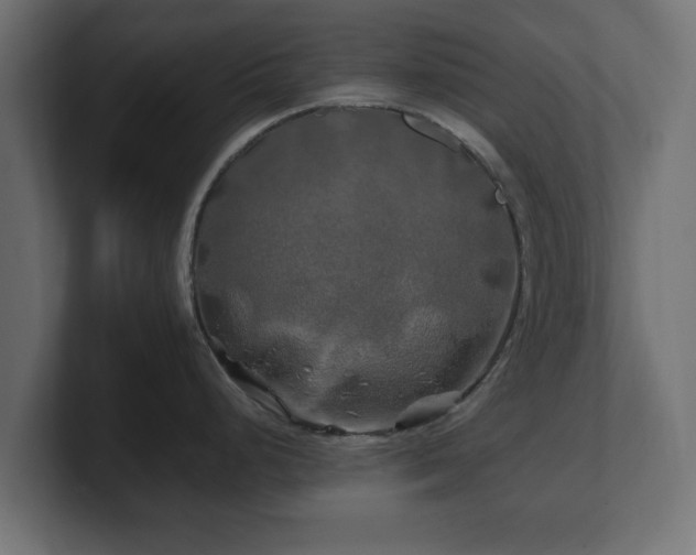 X0000100761248200806261558