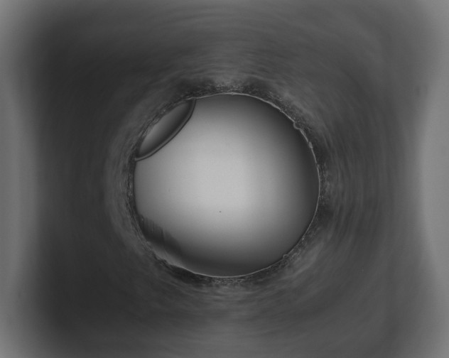 X0000100761249200806261557