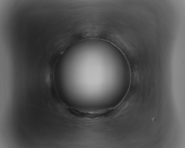 X0000100761250200806261557