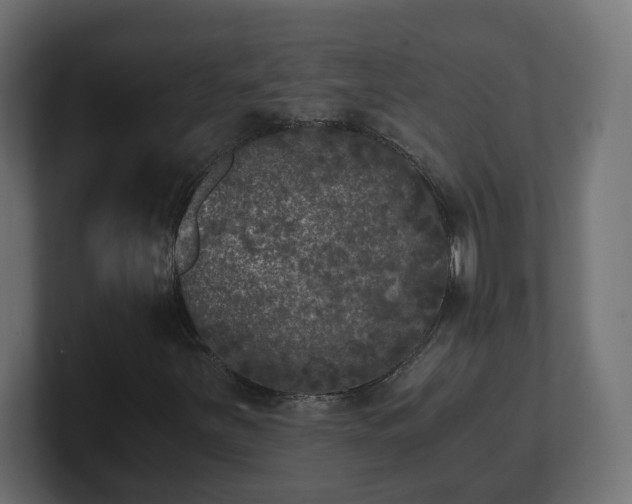 X0000100761251200806261557