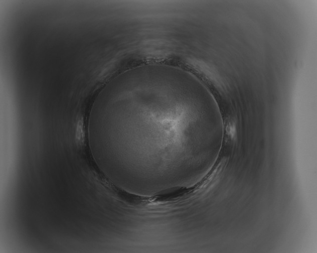 X0000100761252200806261557