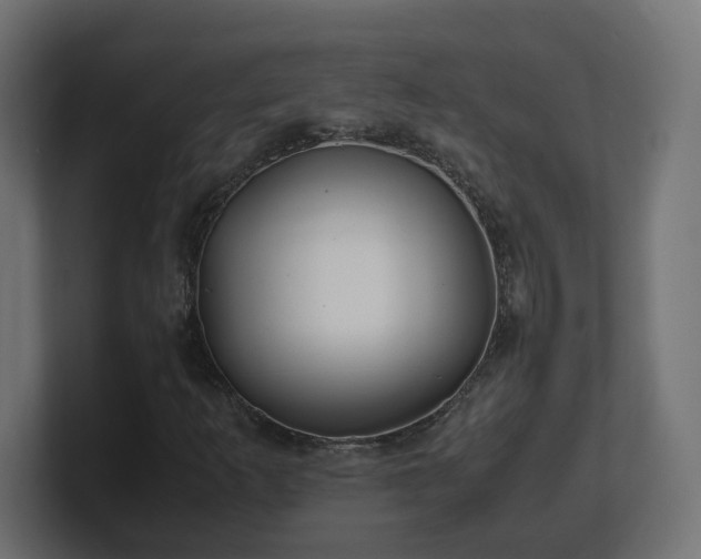 X0000100761253200806261557