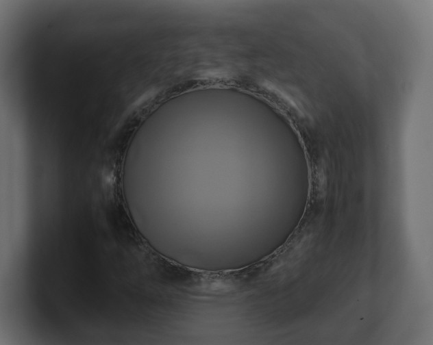 X0000100761254200806261557