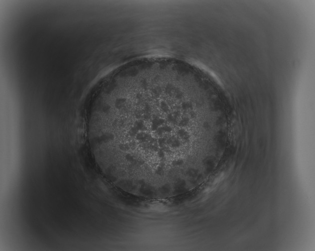 X0000100761255200806261557