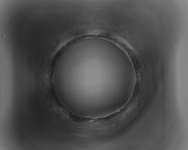 X0000100761256200806261557