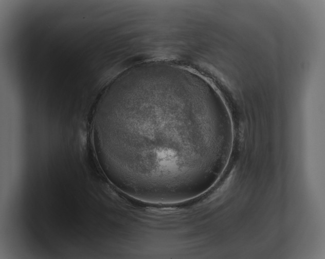 X0000100761257200806261557