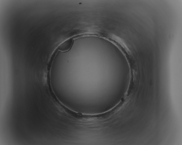 X0000100761260200806261557