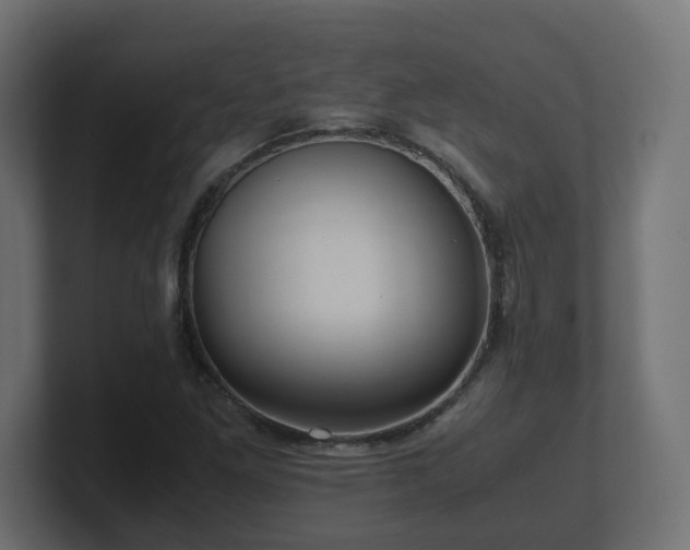 X0000100761261200806261557