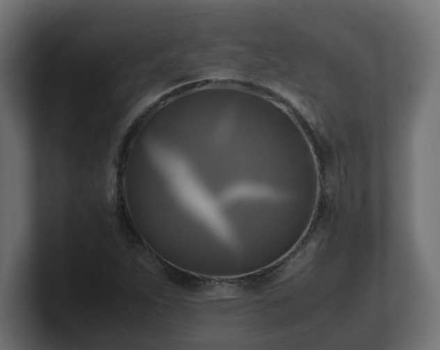 X0000100761263200806261557