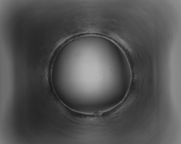 X0000100761264200806261557