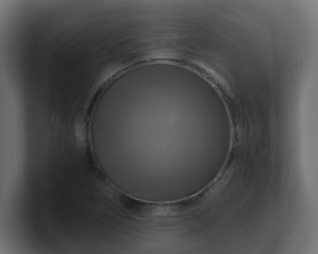 X0000100761266200806261557