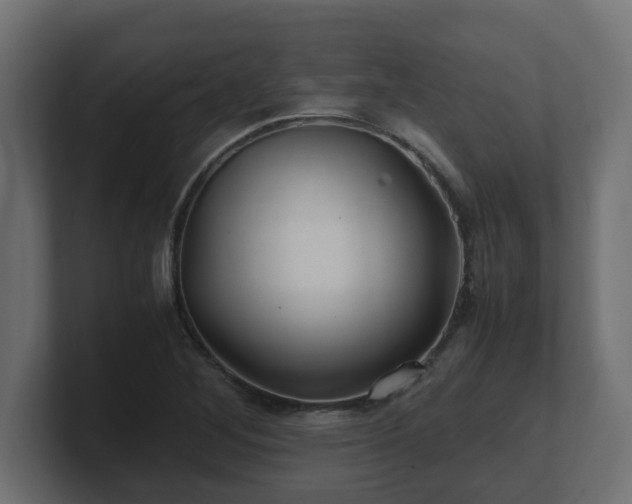 X0000100761268200806261557